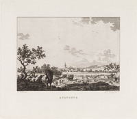 TvB G 3509
<br/>
Augustus
<br/>
<em>Wit, Jacob de (1695-1754)</em>